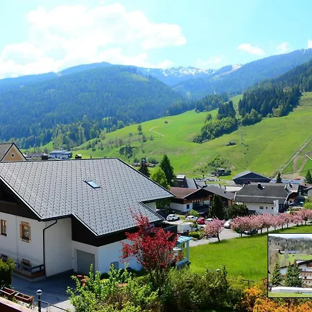 Forest Mountain * باد كلينكيرشهايم