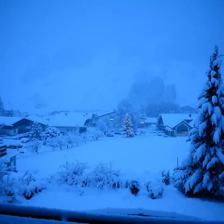 Forest Mountain شقة *